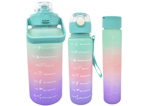 Set x 3 Botellas BPA Free (2lts/700ml/300ml)